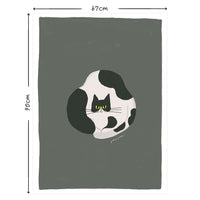 What is the Room Next Door Like? Cat room RINE Large PEEL AND STICK Deodorant POSTER