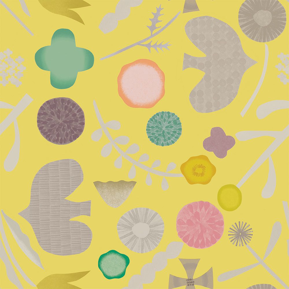 garden mimosa 2.7 m long WALLPAPER